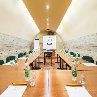 Hotel Regent Krasków